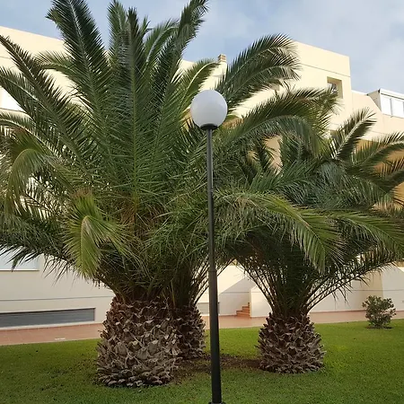 Alondras Playa Denia