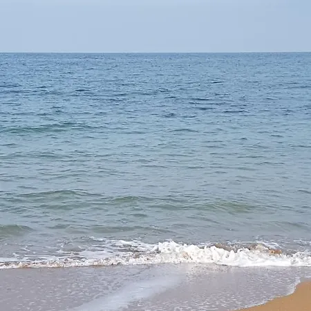 Alondras Playa Denia